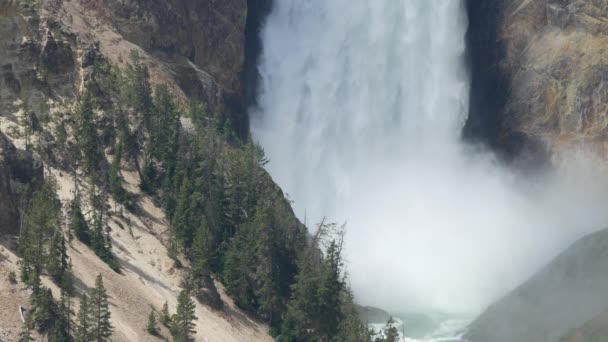 Zavřete Stabilní Záběr Kaskádových Vody Úpatí Nižší Spadá Yellowstonský Národní — Stock video