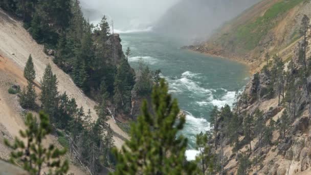 Alt Düşüyor Yellowstone Milli Parkı Akan Sürekli Çekim — Stok video