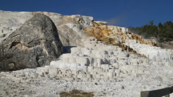 Filmagem Constante Dos Terraços Mammoth Hot Springs Parque Nacional Yellowstone — Vídeo de Stock