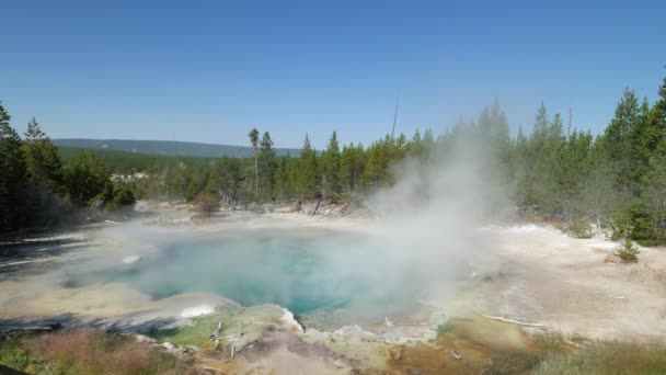 Wide Steady Shot Boiling Emerald Spring Steam Rising Norris Geyser — Stock Video