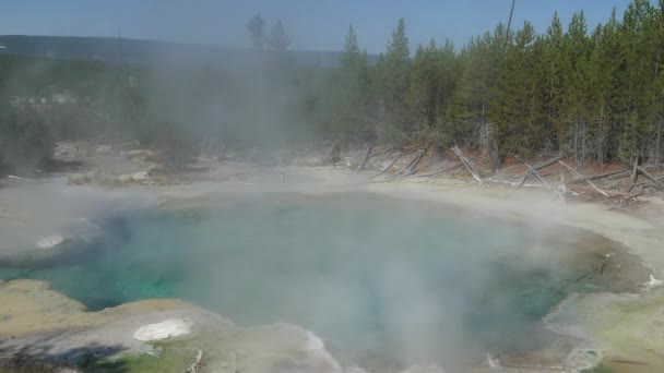 Close Steady Shot Boiling Emerald Spring Steam Rising Norris Geyser — Stock Video