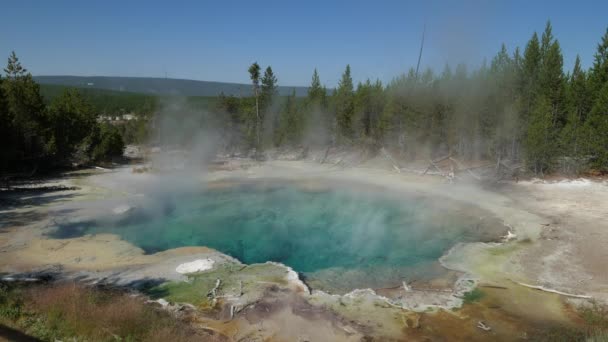 Wide Shot Blue Emerald Spring Steam Rising Norris Geyser Basin — Stock Video