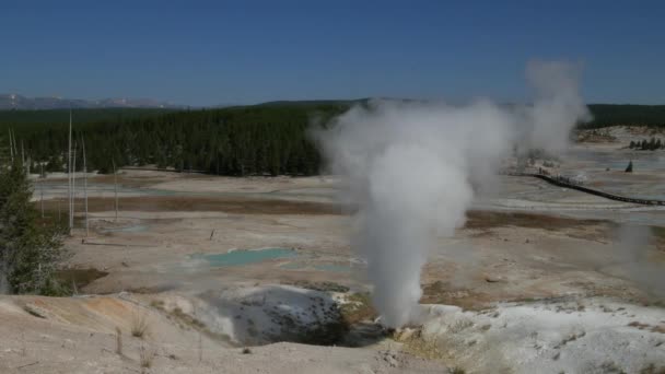 Široké Stabilní Záběr Páry Vlající Černá Bručoun Energetika Norris Gejzír — Stock video