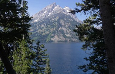 Jenny Lake Wyoming 'deki Grand Teton Ulusal Parkı' ndaki güzel ağaçlar tarafından çerçevelenmiş..