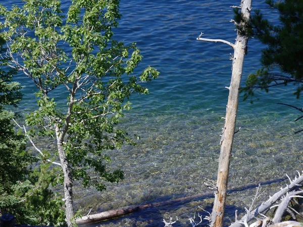 ワイオミング州のグランド トン国立公園にあるジェニー湖の岸の原始的な水 — ストック写真