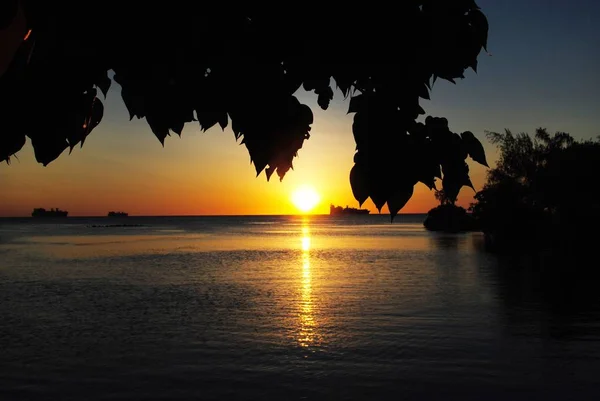 Sílhueta do pôr do sol emoldurada por folhas de árvore — Fotografia de Stock