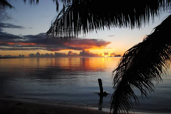 Foto's voor Tropical Island Sunset — Stockfoto