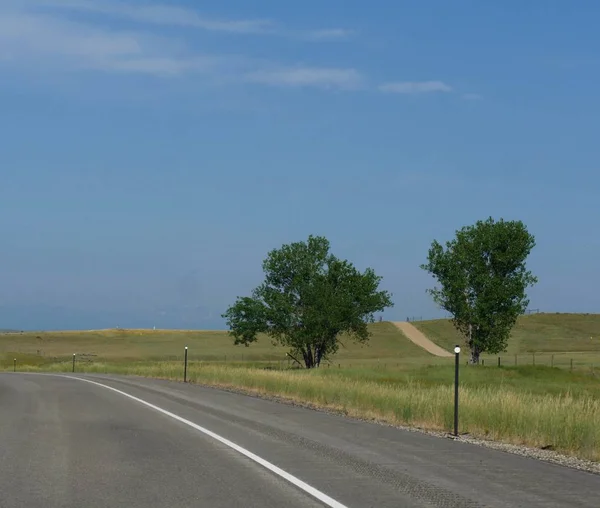 Twee Kleine Bomen Groeien Langs Een Snelweg Wyoming Usa — Stockfoto