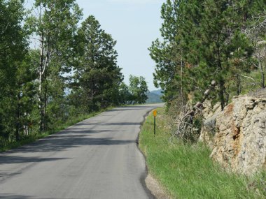 Needle's Highway, Güney Dakot'ta manzaralı sürüş