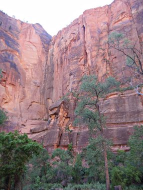 Zion National Park fotoğrafları