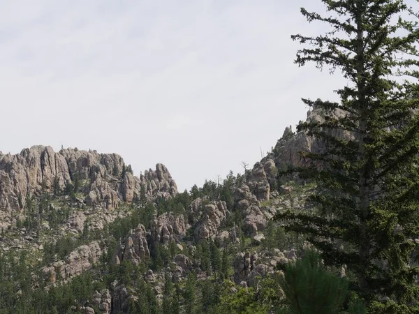 Formaciones rocosas en Needles Highway, Custer State Park, South Da — Foto de Stock