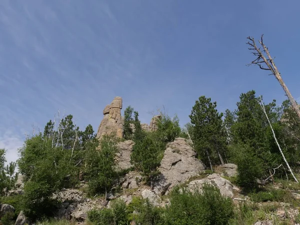 Tű Highway, Custer State Park fotók, Dél-Dakota — Stock Fotó