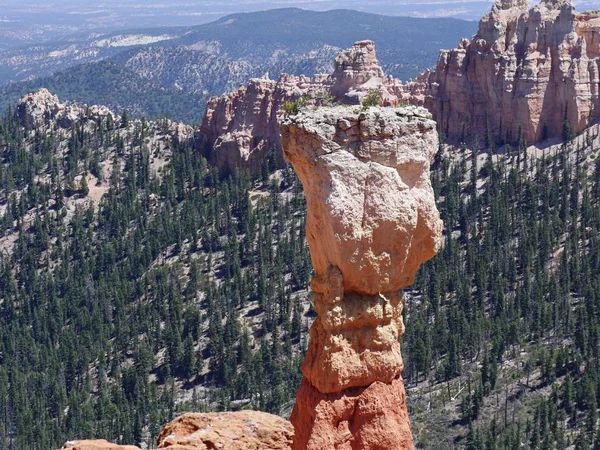 Formaciones rocosas en Ponderosa Point, Parque Nacional Bryce Canyon . — Foto de Stock