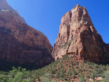 Zion National Park fotoğrafları