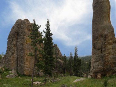 Custer State Park, Güney Dakota'da Needles Otoyolu boyunca nefes kesen granit kayalıklar ve kaya oluşumları.