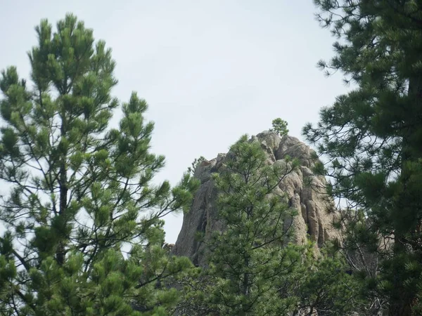 Hautes Formations Rocheuses Escarpées Ajoutent Des Vues Spectaculaires Long Needles — Photo