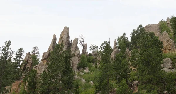 针公路风景驱动器与花岗岩山脉和岩层的意见在卡斯特州立公园 南达科他州 — 图库照片