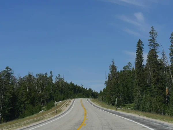 Vue Moyenne Large Une Route Sinueuse Travers Les Forêts Bighorn — Photo