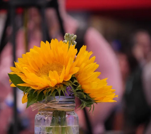 花瓶里的黄色花 — 图库照片