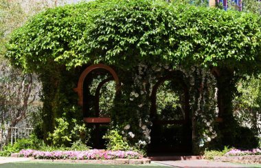 Yeşillik kaplı çardak 