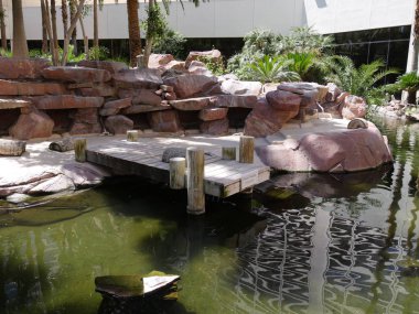 Peyzajlı bir arka bahçe bahçesinde Pond 