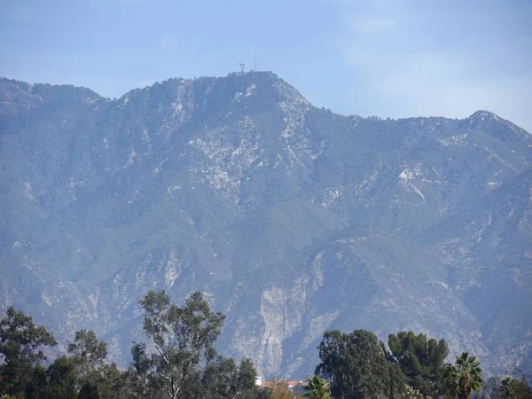 树梢与高山的背景在洛杉矶 加利福尼亚州 — 图库照片