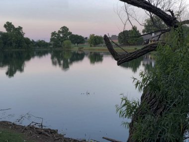 Bankada büyük bir ağaç ile Göl görünümü