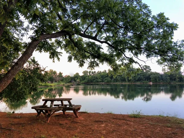 Büyük bir ağacın gölgesinde ahşap banklar bağlı ahşap bir masa ile Lakeside sahne 