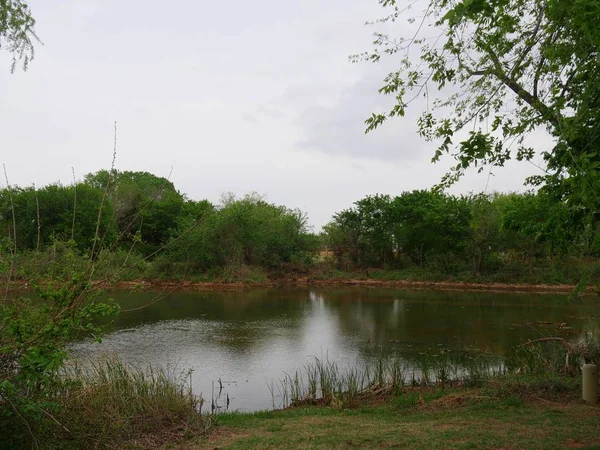 Vista Lago Com Árvores Parque Público — Fotografia de Stock