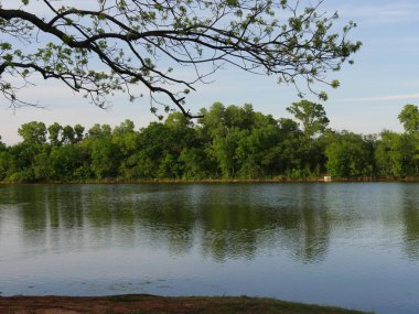 İlkbaharda göl kenarında taze dinlendirici manzara