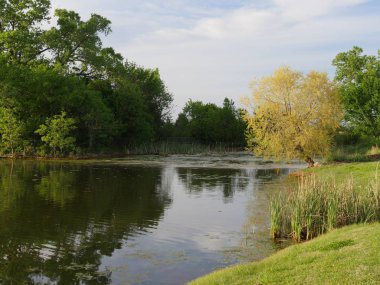 İlkbaharda ağaçlarda yeni yapraklar bulunan bir gölün doğal doğa manzarası