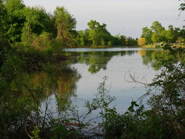 湖的壮丽景色 树木和树叶反映在水中 — 图库照片