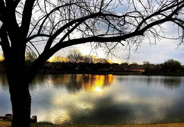 Silhouette Arbre Aux Reflets Coulée Coucher Soleil Dans Lac — Photo