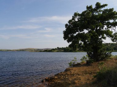  Lake Elmer Thomas Comanche County, Oklahoma de bankalarda bir ağaç ile.