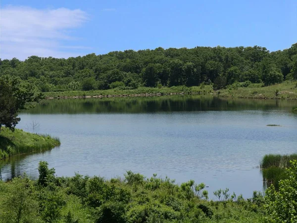Vista Refrescante Lago Chickasaw National Recreation Area Davis Oklahoma — Fotografia de Stock