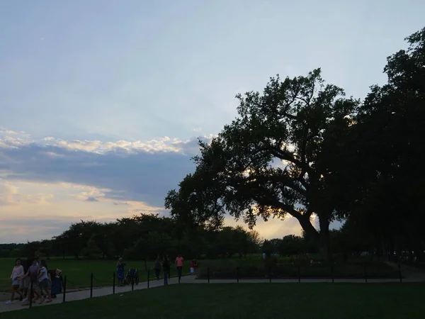 Washington Usa Settembre 2017 Silhouette Del Tramonto Albero Con Gente — Foto Stock