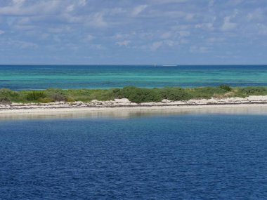 Dry Tortugas Ulusal Parkı'ndaki bir plajın beyaz kumlu kıyıları ve kristal mavisuları, Florida.