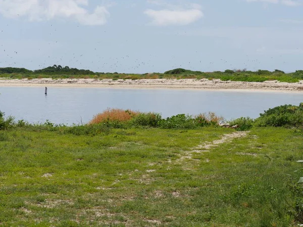 Zöld Füves Területek Gyönyörű Strandok Dry Tortugas Nemzeti Park Florida — Stock Fotó