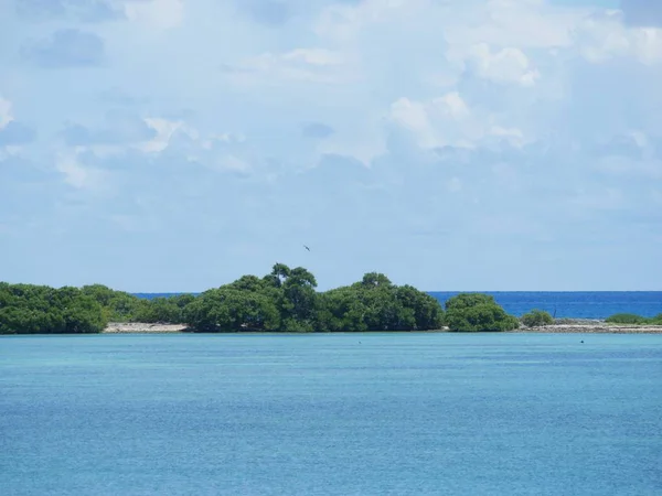 Kuru Tortugas Güzel Ada Key West — Stok fotoğraf