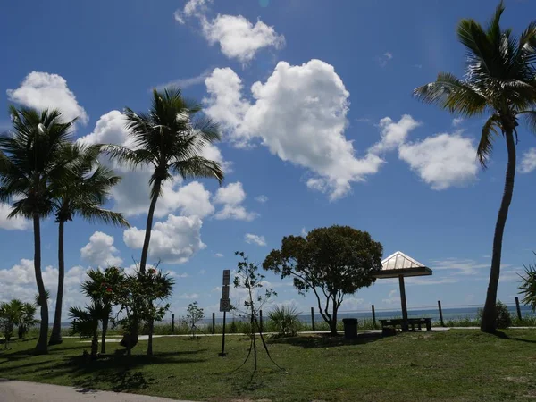 Hindistan cevizi ağaçları ve S Roosevelt Bulvarı kıyı görünümü boyunca açık yazlık, Key West, Florida.