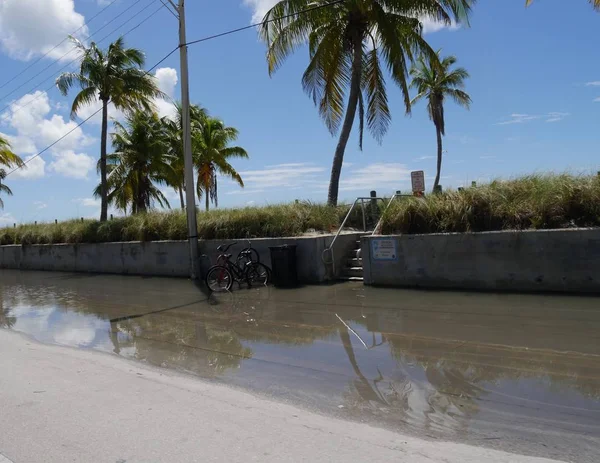 Water floods the roadside along S Roosevelt Boulevard after a rain in Key West, Florida.