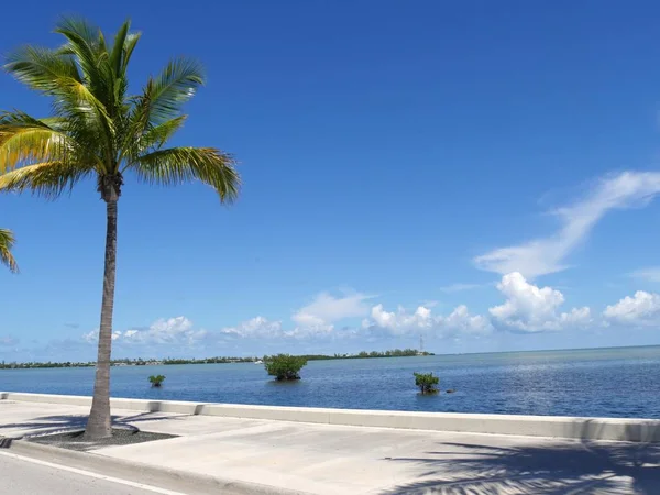 Gyönyörű Tengerparti Kilátás Kókusz Mentén Roosevelt Boulevard Key West Florida — Stock Fotó