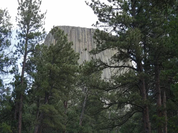 Pico Torre Del Diablo Visto Través Pinos Wyoming — Foto de Stock