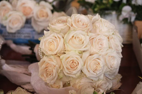 Średnio Szerokie Miękkie Ujęcie Białych Róż Niewyraźne Tło — Zdjęcie stockowe