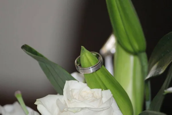 Anillo Boda Una Hoja Verde Fresca — Foto de Stock