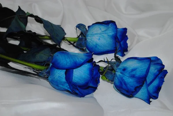 Vue Latérale Trois Roses Bleues Posées Sur Tissu Satiné Blanc — Photo