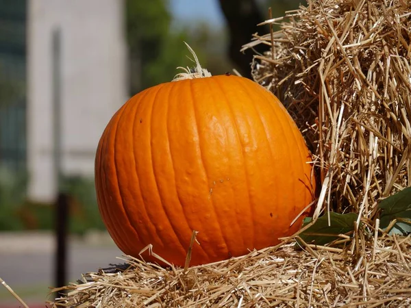 Medium Close Orange Pumpkin Top Haystack — Stock Photo, Image