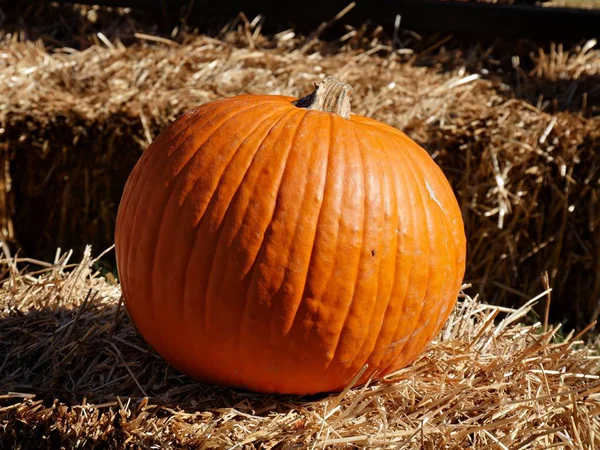 Close Orange Pumpkin Haybales Farmer Market — Stock Photo, Image