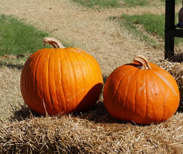 Two Pumpkins Top Bales Hay Farmer Market — Stock Photo, Image