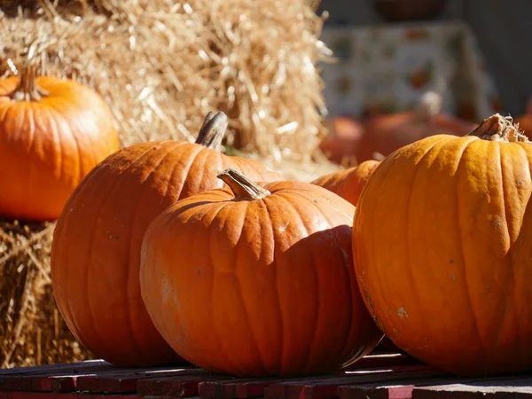 Close Cropped Shot Orange Pumpkins Blurred Haybales Background — Stock Photo, Image